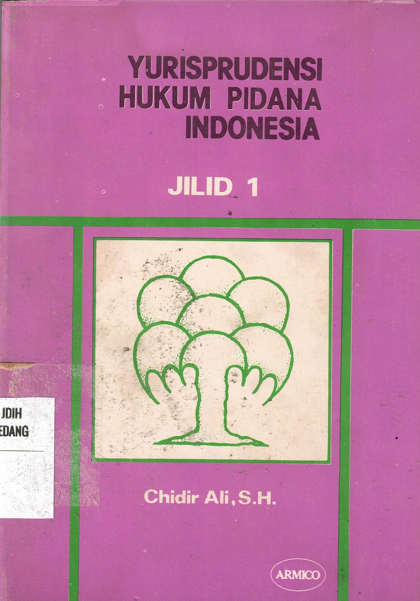 Yurisprudensi Hukum Pidana Indonesia