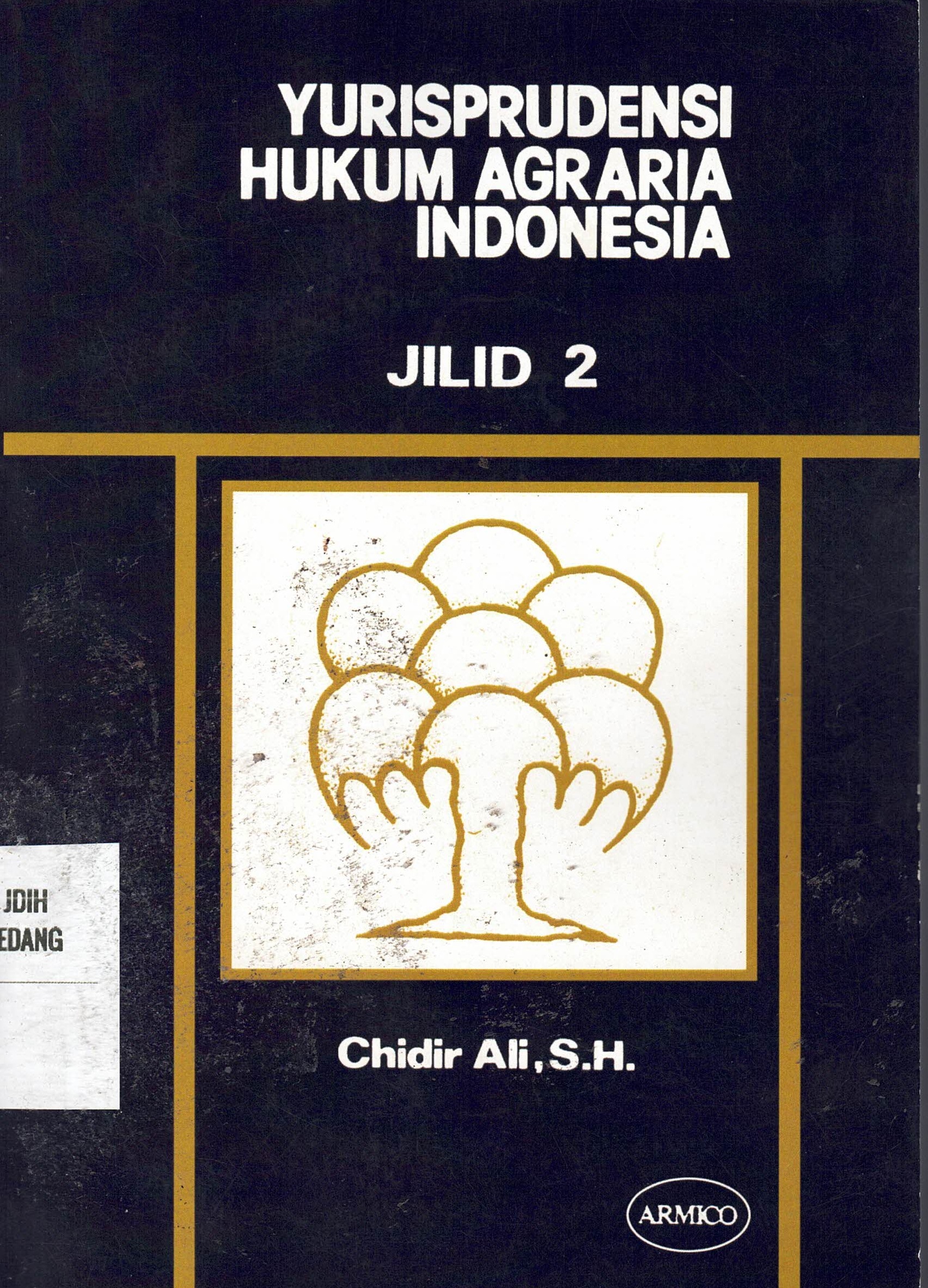Yurisprudensi Hukum Agraria Indonesia (Jilid 2)